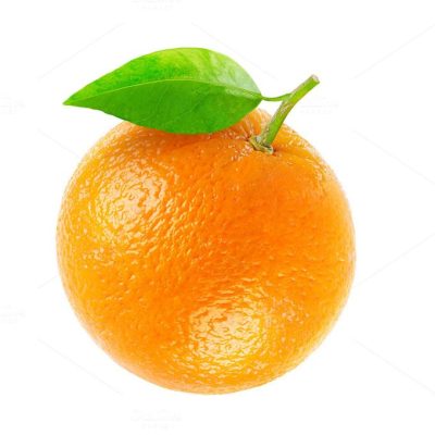 Orange Fruit